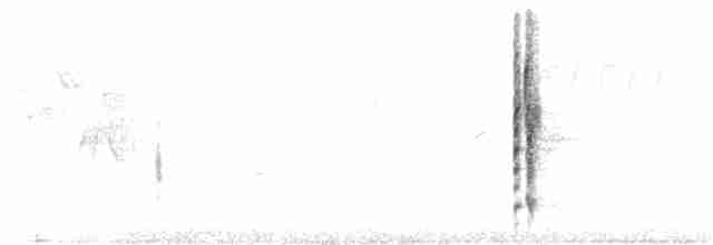 Carouge à épaulettes (groupe phoeniceus) - ML159348951