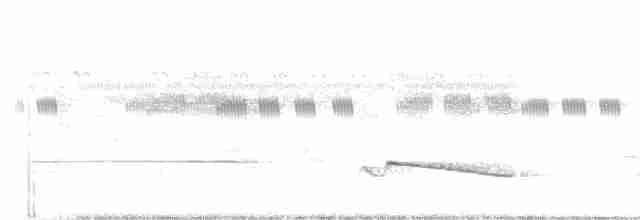 Gray-bellied Cuckoo - ML159473871