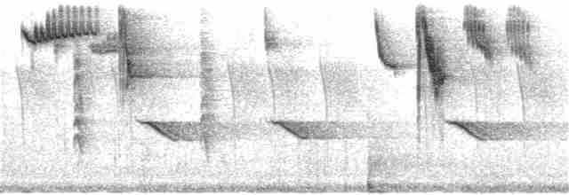 Сичик-горобець гірський (підвид gnoma) - ML159477001