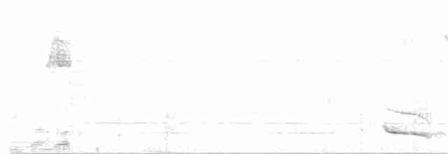 Trogon rosalba - ML159508871