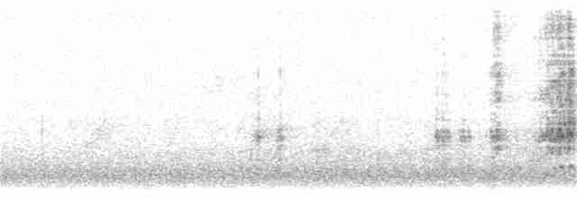 brunvarsler (cristatus/confusus) - ML159510151