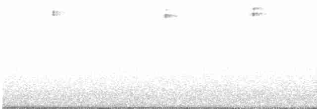 Pileated Woodpecker - ML159530381