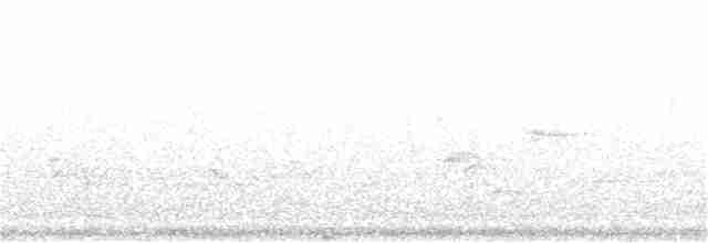 Vireo Ojiblanco - ML159593641