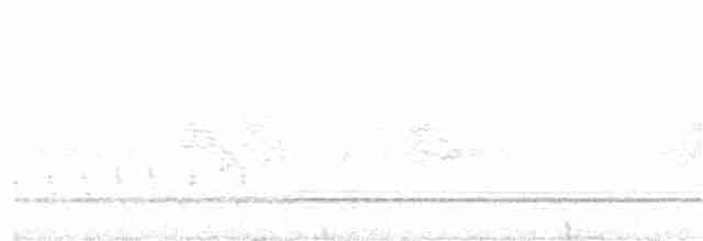 Braunhals-Nachtschwalbe - ML159611971