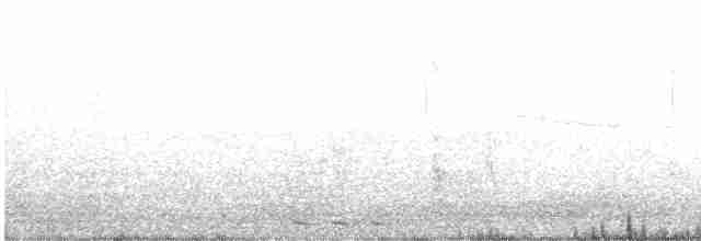 Black-billed Cuckoo - ML159740521