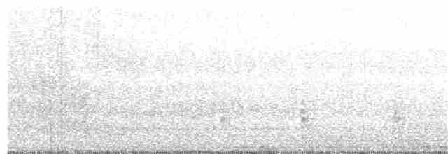 Oriental Reed Warbler - ML159770311