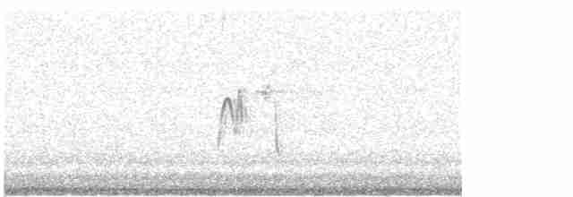 Acadian Flycatcher - ML159822241