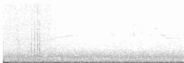 Пестрогорлый соловьиный дрозд - ML159889811
