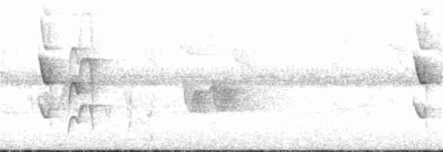 White-necked Thrush - ML159928311