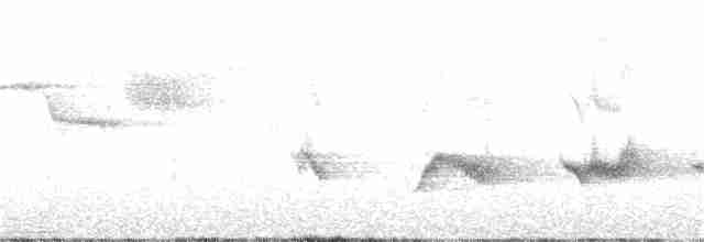Kara Kanatlı Piranga - ML159956991