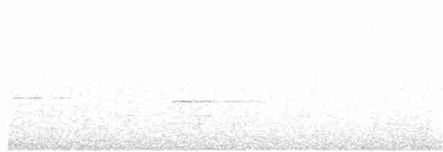 Gray Whistler - ML159979261