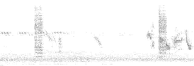 Lesser Gray Shrike - ML159993281