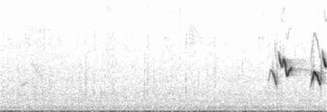 Kentucky Warbler - ML160058091