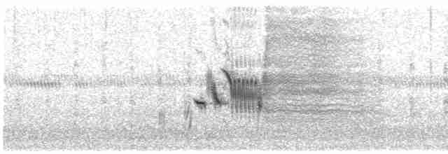 Приморская овсянка-барсучок - ML160063331