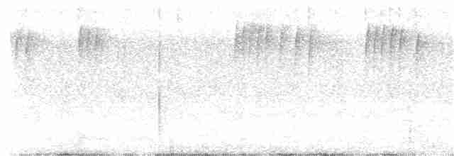 Stripe-tailed Hummingbird - ML160082811