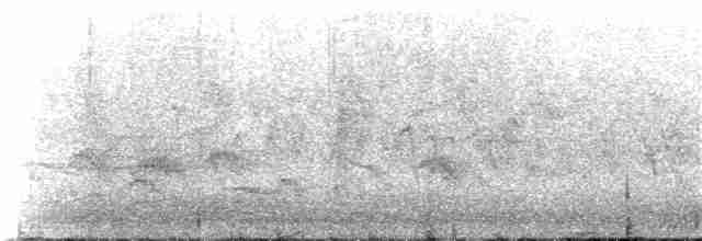Evening Grosbeak (type 3) - ML160134541