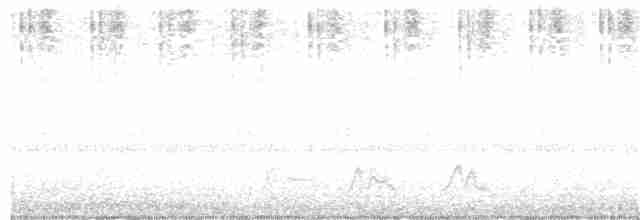Carolinanachtschwalbe - ML160158541