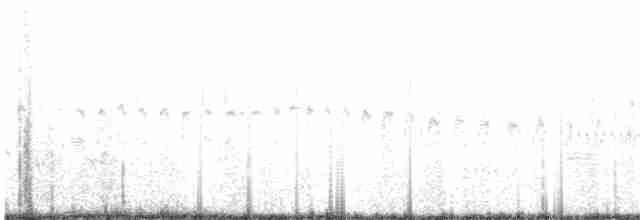Каньонный крапивник - ML160160281