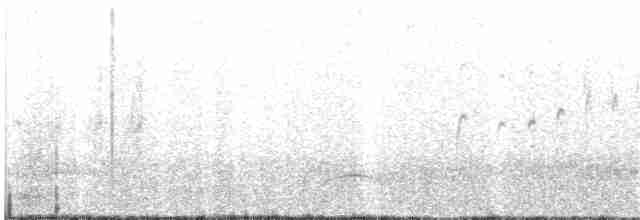 White-throated Swift - ML160160311