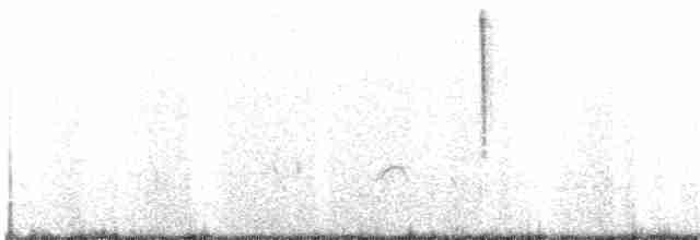 Colibri d'Anna - ML160160481