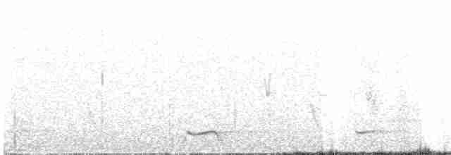 Тауї плямистий - ML160161041