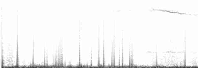 Veilchenkopfelfe - ML160161091