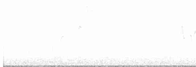Weidenschnäppertyrann - ML160203931