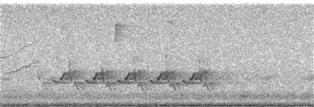 Karolina Çıtkuşu - ML160258171