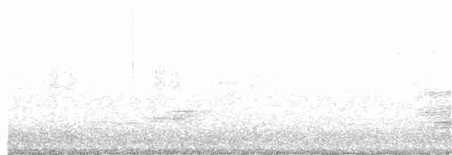 sokol stěhovavý - ML160263571