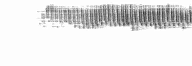 Lanceolated Warbler - ML160386761