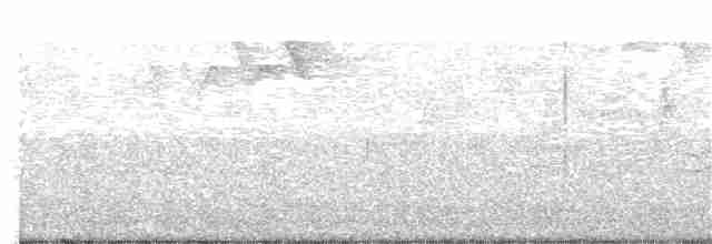 Blackpoll Warbler - ML160406331