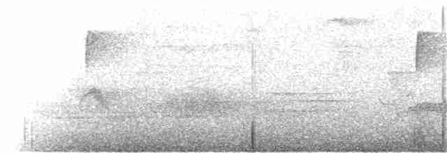 Gri Yanaklı Bülbül Ardıcı - ML160413851