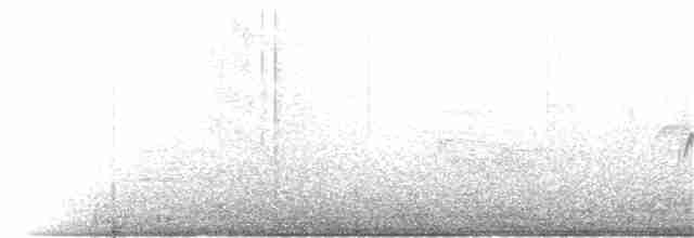 svartbrystparula - ML160413951