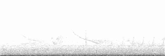 Connecticut Warbler - ML160426741