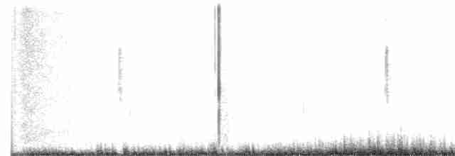 Black-throated Gray Warbler - ML160438241