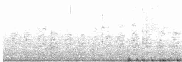 Common Tern - ML160450271