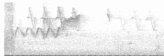 Cerulean Warbler - ML160458771