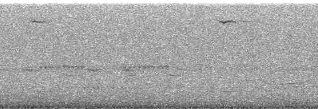 Дрімлюга гірський (підвид poliocephalus) - ML1605