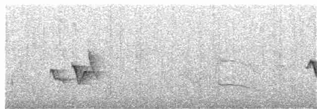 Vireo de Noronha - ML160576551