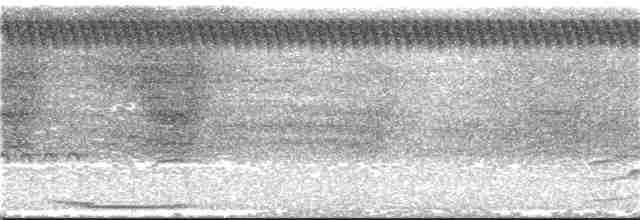 Zigzag Heron - ML160586191