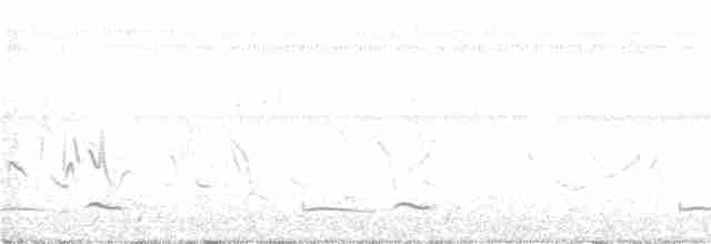 Winternachtschwalbe - ML160588631
