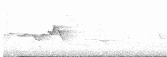 Hooded Warbler - ML160591781