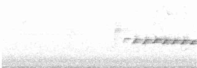 Коронник блідий - ML160615811