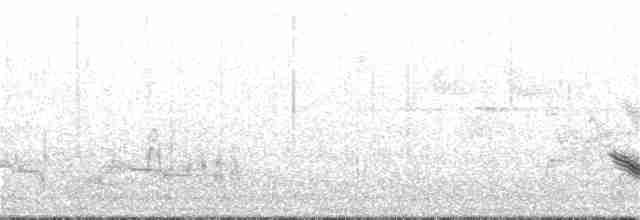 Бурый соловьиный дрозд - ML160617661