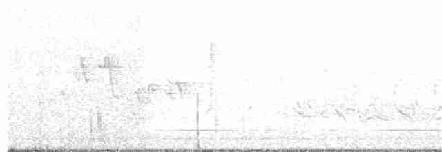 Paruline à gorge grise - ML160668561
