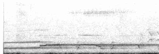 Гагара полярна - ML160721661