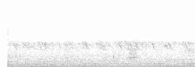 Шлемоносная цесарка (Одомашенного типа) - ML160727171
