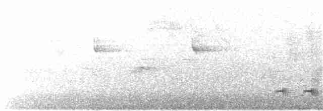 Swainson's Thrush (Russet-backed) - ML160840271