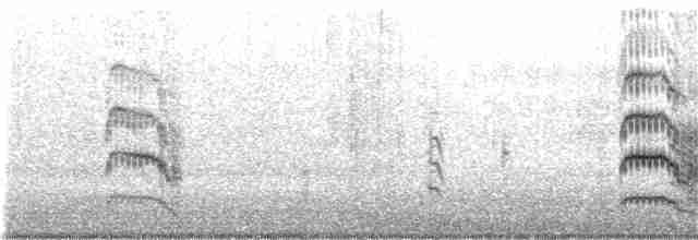 Common Tern (hirundo/tibetana) - ML160866971