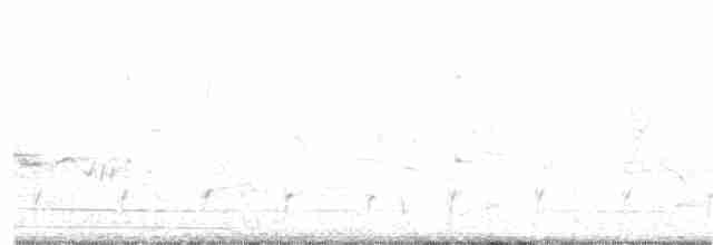 Шилоклювый дятел (auratus/luteus) - ML160885591